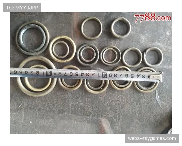 体育复古装备收藏圈形成，经典款式复刻版引发怀旧消费。